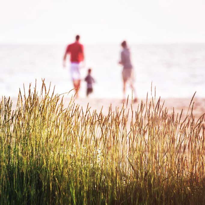 海岸を散歩する親子の遠景